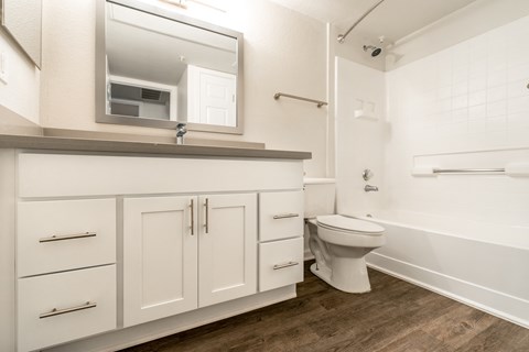 Bathroom at Monterey Ranch, Austin, Texas